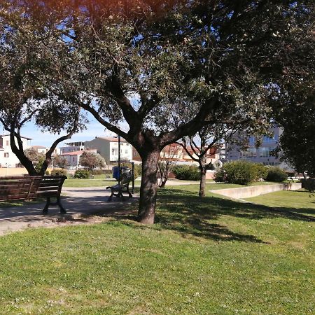 My Nest Apartment Arzachena Luaran gambar